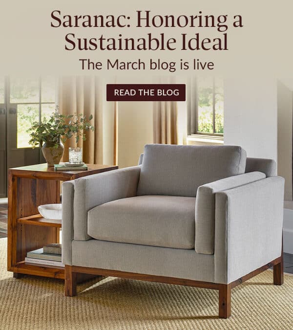 Saranac chair in a modern looking living room